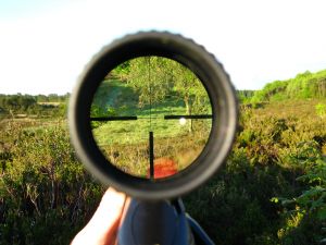 Where to Find Hunting and Fishing Expos