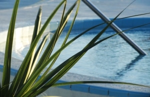Great Pool Landscaping Ideas
