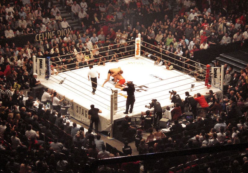 UFC Hall of Fame: The Elite (2008 -2012)