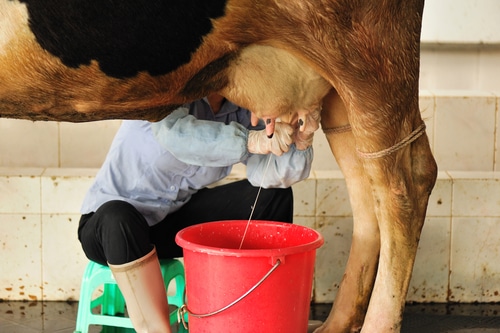 The Absolute Worst Summer Jobs for College Students