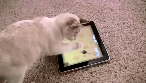 10 Weird Phone Apps You Don’t Really Want