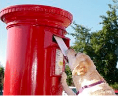Dog Posting a Letter Technology and Posting a Letter