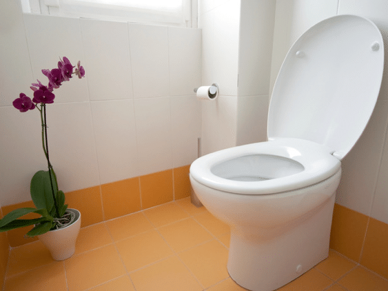 The Toilet Seat Position The Science of Toilet Seat Position