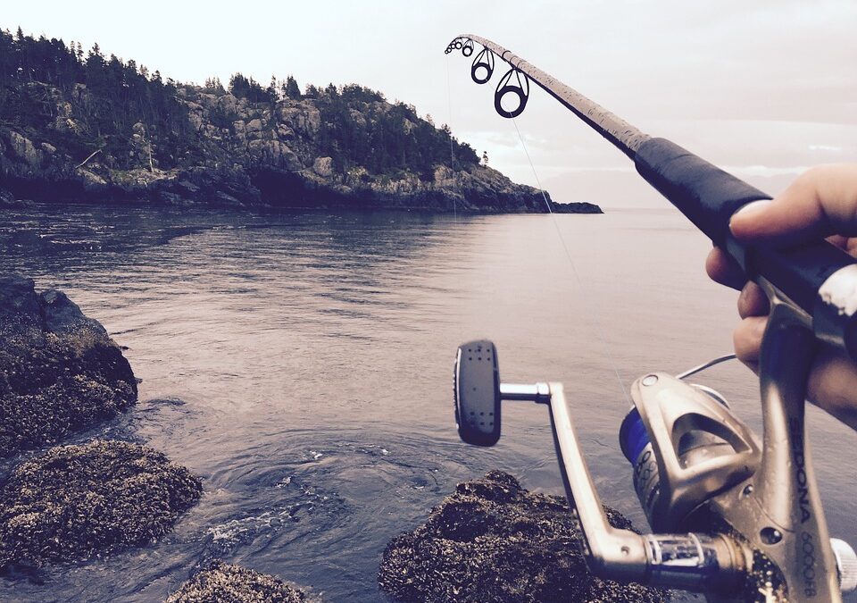 The 7 Best Fishing Rods for Reeling in the Catch of a Lifetime